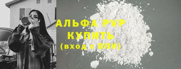 ПСИЛОЦИБИНОВЫЕ ГРИБЫ Дмитров