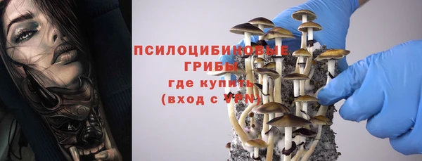 каннабис Дмитриев