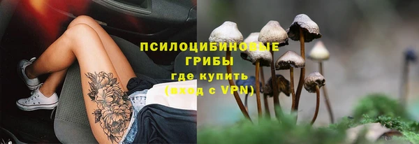 винт Нея