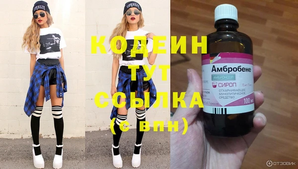 винт Нея