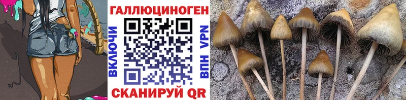 Галлюциногенные грибы GOLDEN TEACHER  магазин продажи наркотиков  Похвистнево 