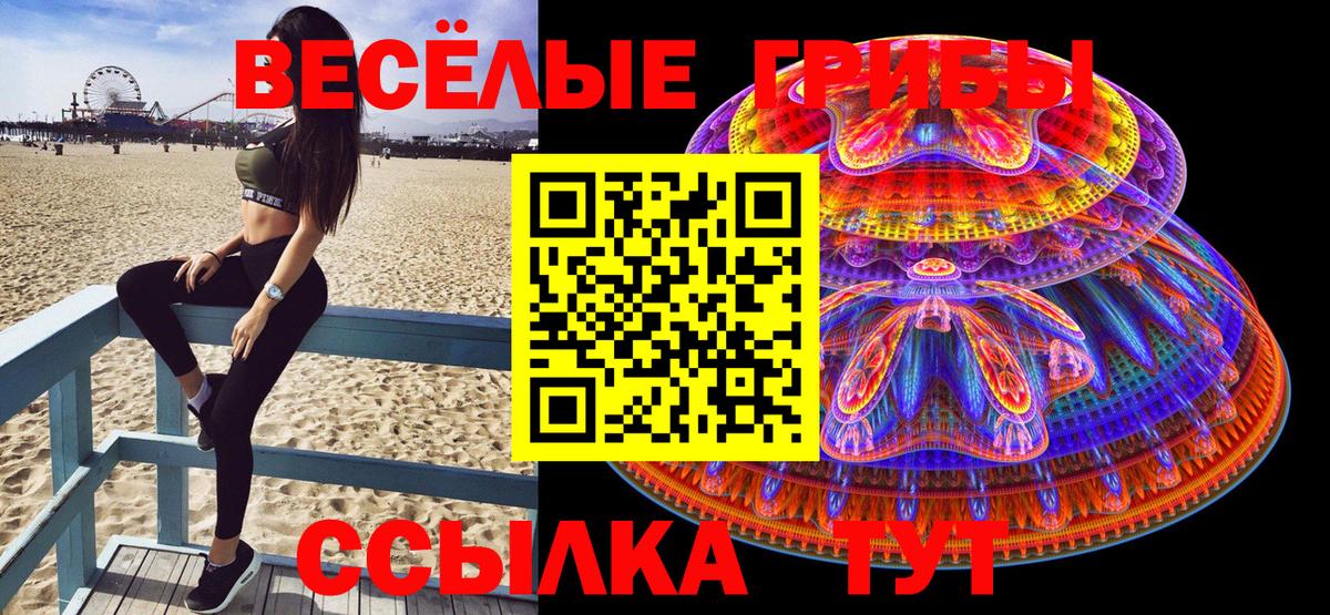 Галлюциногенные грибы мухоморы  дарнет шоп  Галлюциногенные грибы ЛСД  Похвистнево  Вход с VPN 